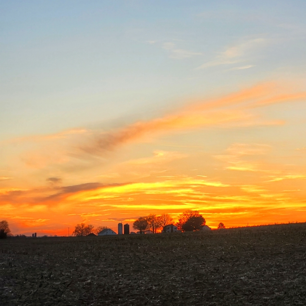 Meet your Posher, Alicia